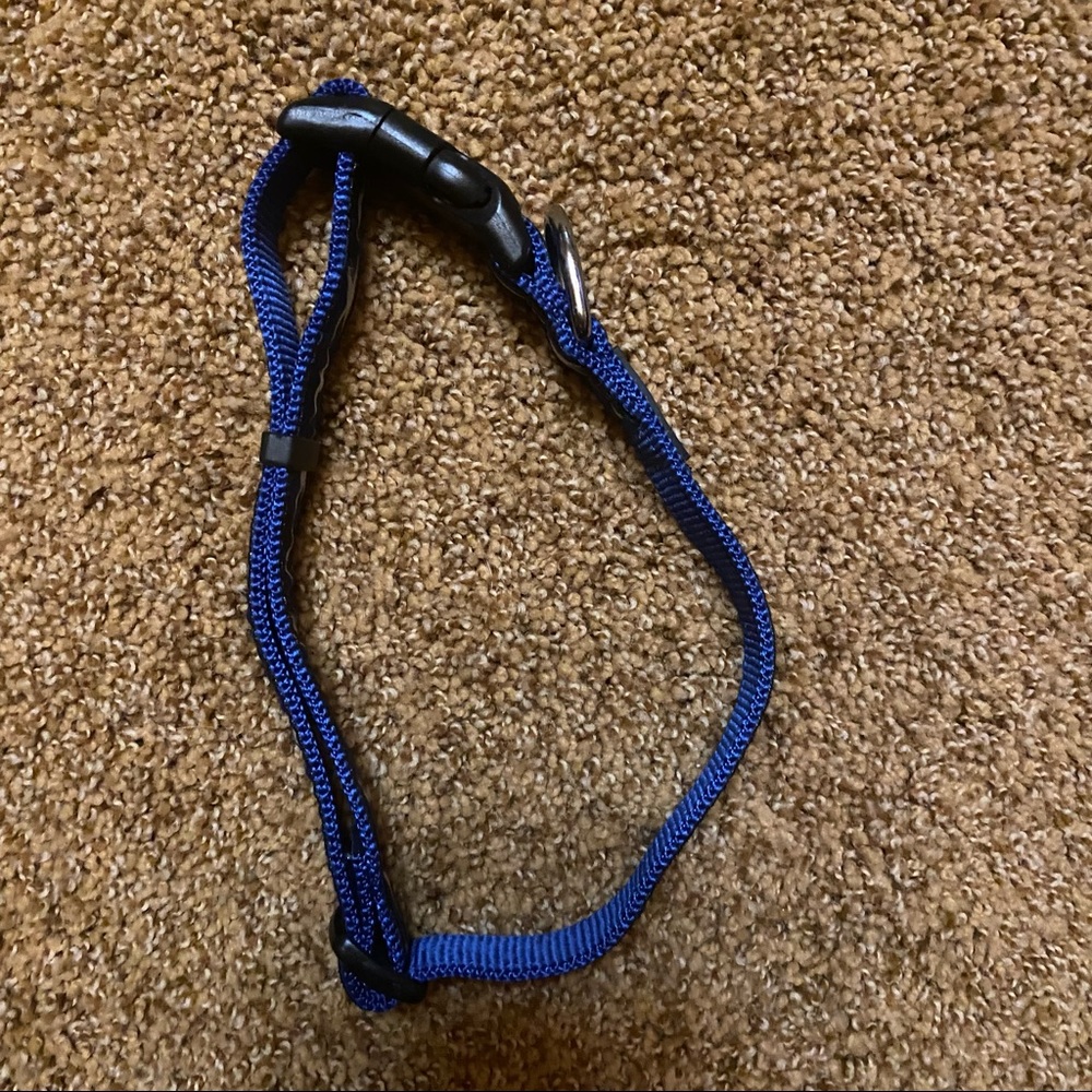 🐕‍🦺3 for $20 - XL Collar